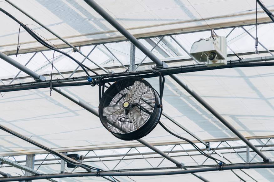 invernadero con extractor de aire montado en el techo