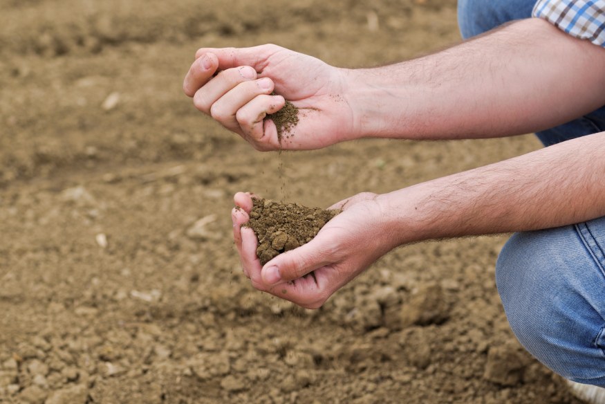 Una persona comprobando la calidad del suelo.