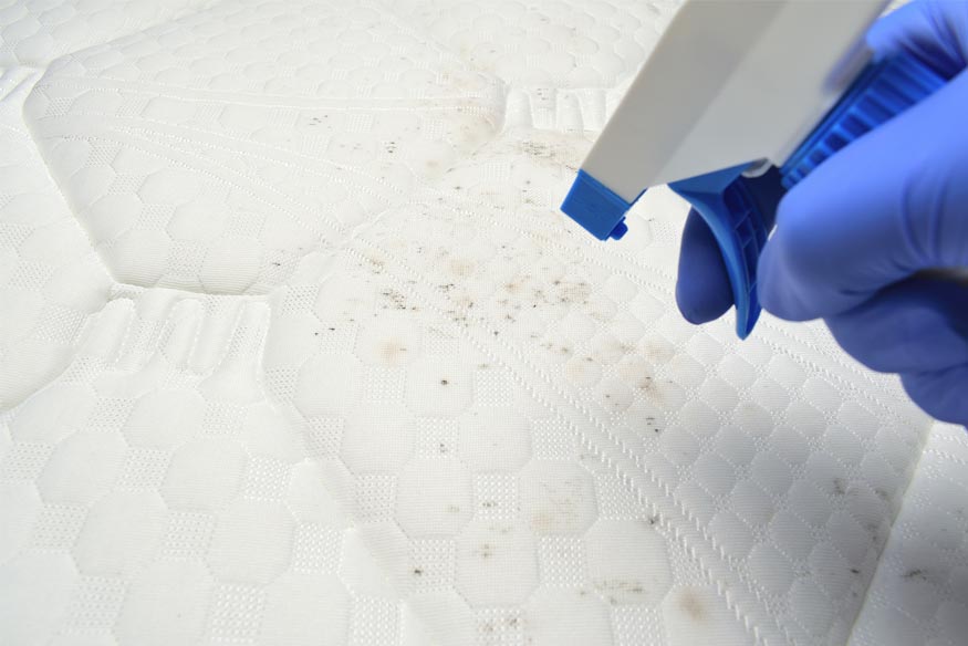 mujer rociando desinfectante en un colchón mohoso